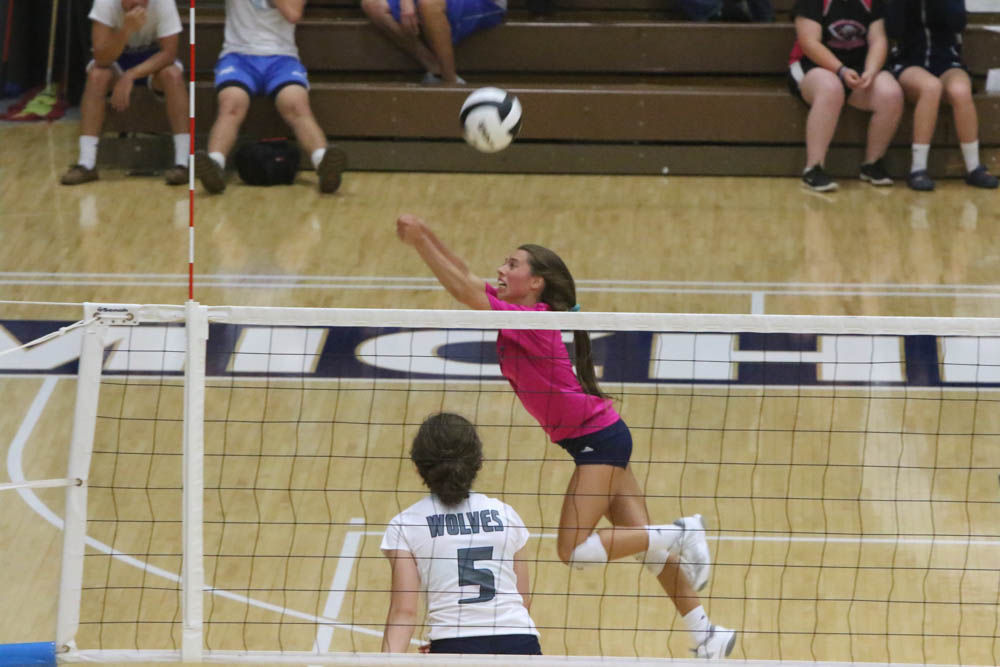 Gallery: Girls volleyball - Crown Point at Michigan City